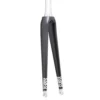 Pista Leggera 1.5´´ Carbon 35 Mm Road Fork