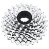 SRAM PG-950 Cassette